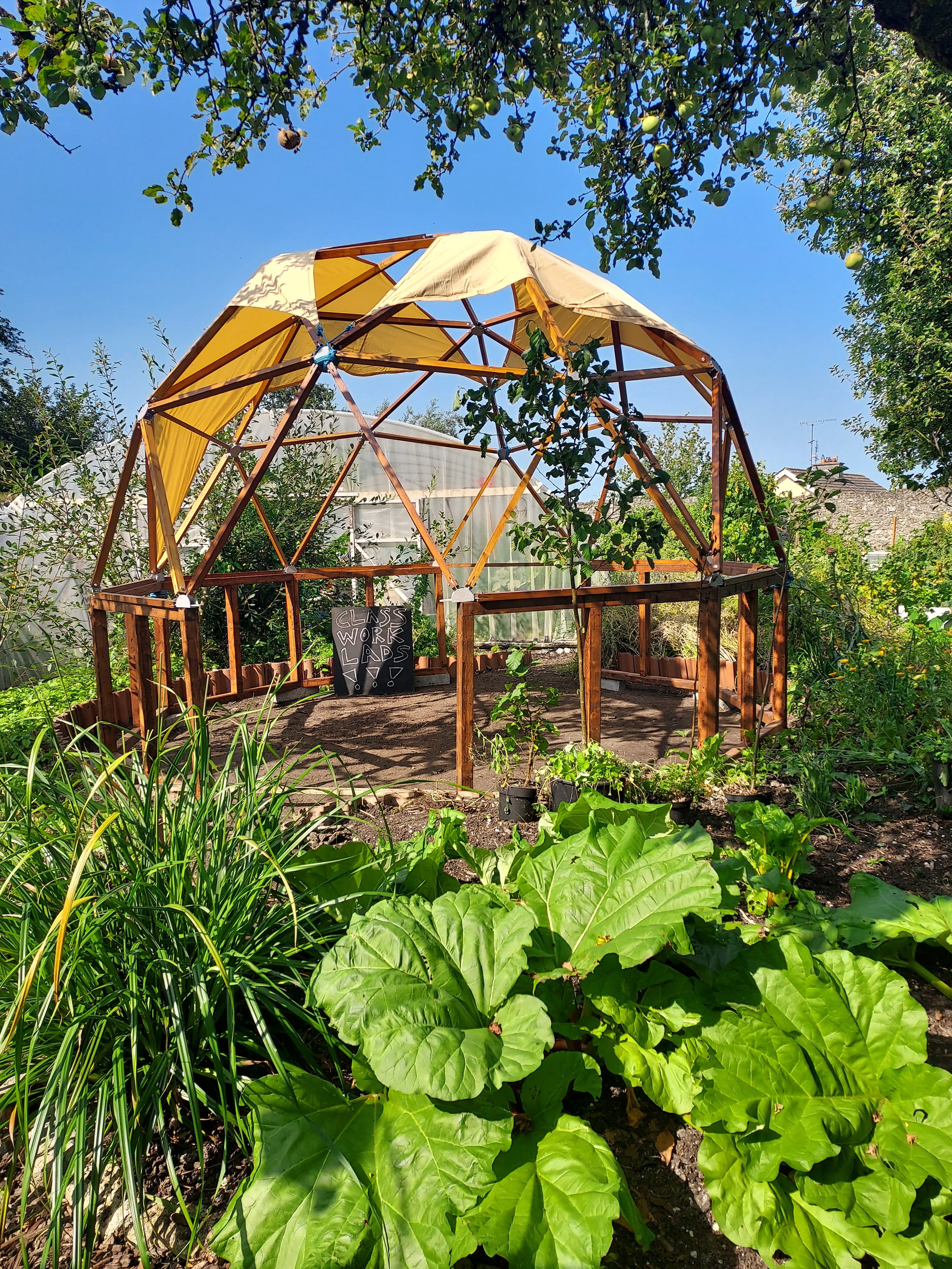 Reflections from the Garden