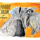 Drawing Dogs in Crayon