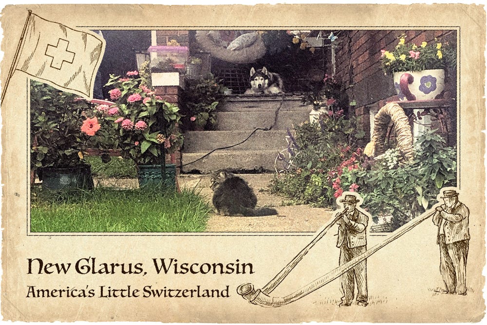 a stylized postcard from New Glarus featuring a photo of a cat and a husky on a cement stoop