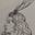 Antlered Words's avatar