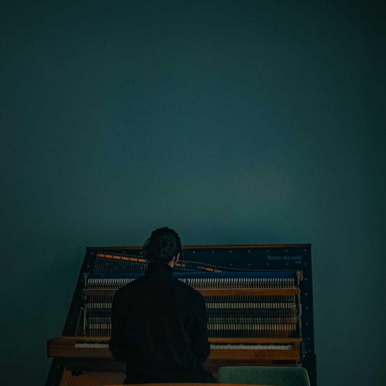 Notes from a hidden Life 