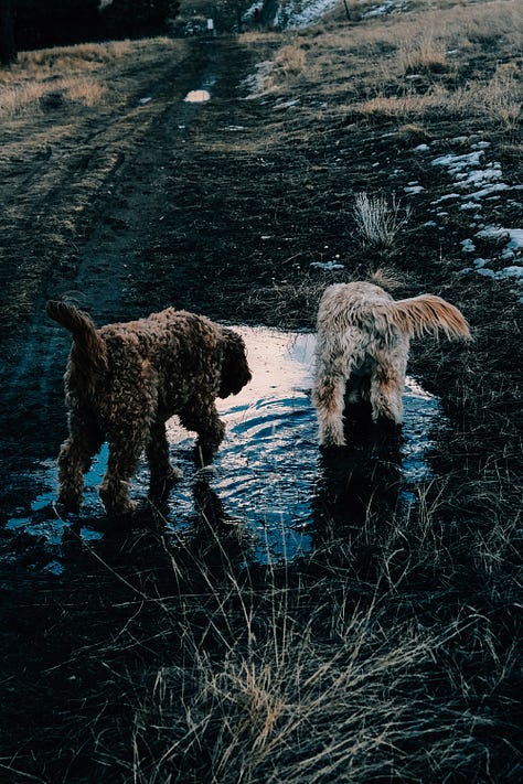 Fuji photographs of a simple life in Montana by Tyler Knott Gregson