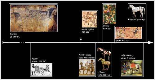 Ancient horse DNA revealed human breeding preferences