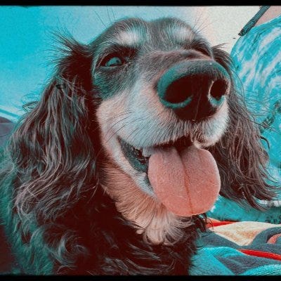 X avatar for @jacksonmoon