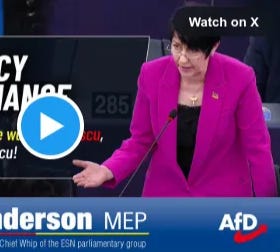 Christine Anderson, MEP: The “New Democracy”