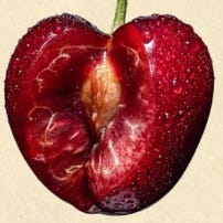 the diaries of a cherry cola addict