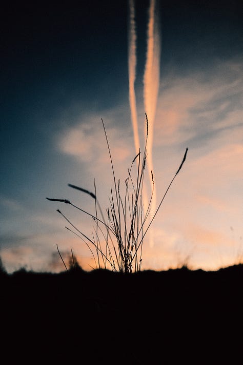 Fuji photographs of life in Montana by Tyler Knott Gregson