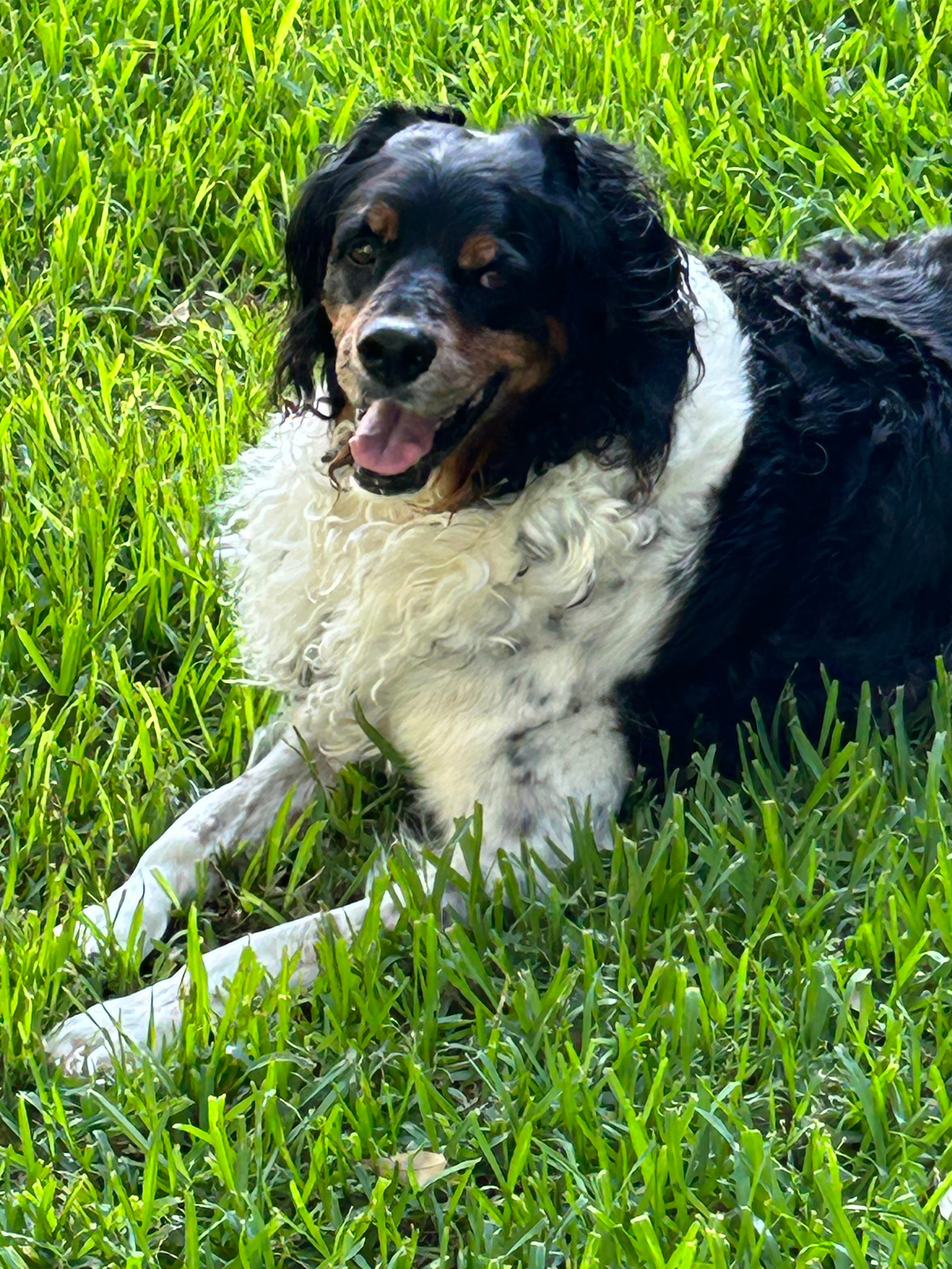 Janethunter23@gmail.com logo