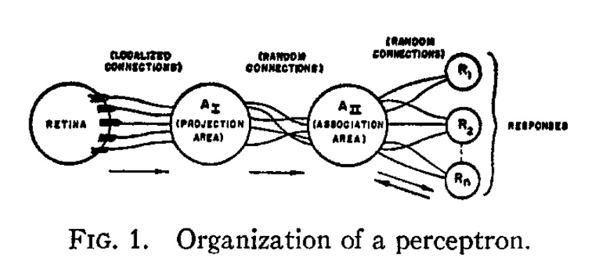 Diagram from Rosenblatt's 1958 paper showing the organization of a perceptron: a retina connected via localized connections to a projection area, then random connections to an association area, then random connections to a set of output responses (R1, R2, Rn).