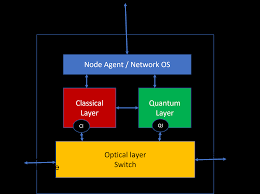 Multiverse: Quantum Optical Network Management