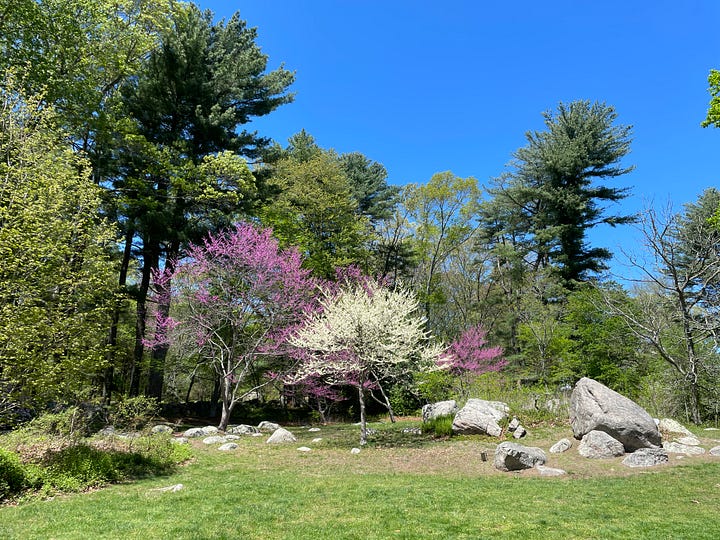 Photographs of an arboretum, featuring trees of different colors, a pond, a dirt footpath and a gazebo shrouded in plants