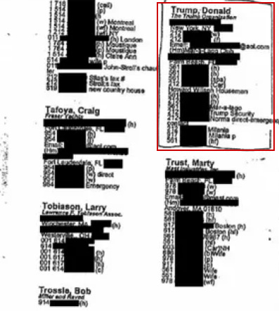 Donald Trump Appears in Epstein's Black Book and Flight Logs