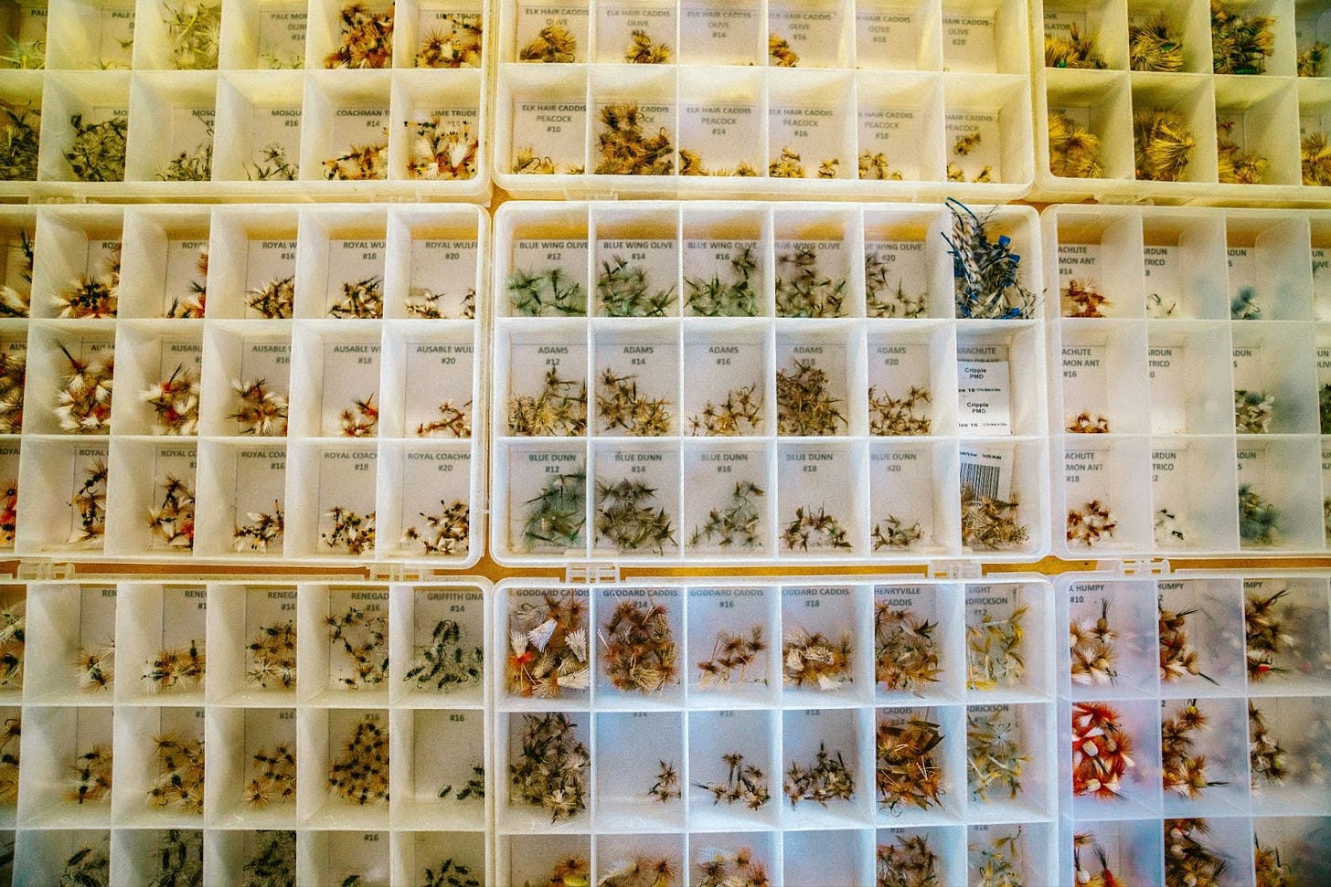 Little boxes of various herbs and flowers with labels on them. Little boxes of various herbs and flowers with labels on them.