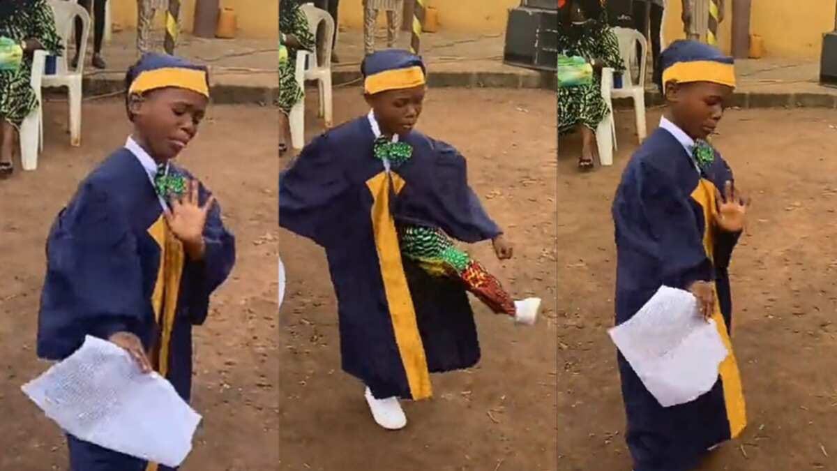 "He Dey Go NYSC?" Little Boy in Ankara Celebrates Primary School Graduation  with Joyous Dance in Video - Legit.ng