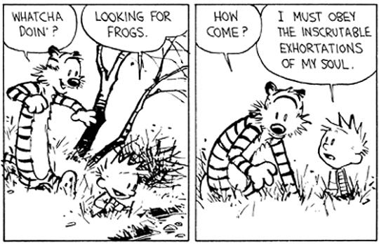 Inscrutable exhortations : r/calvinandhobbes