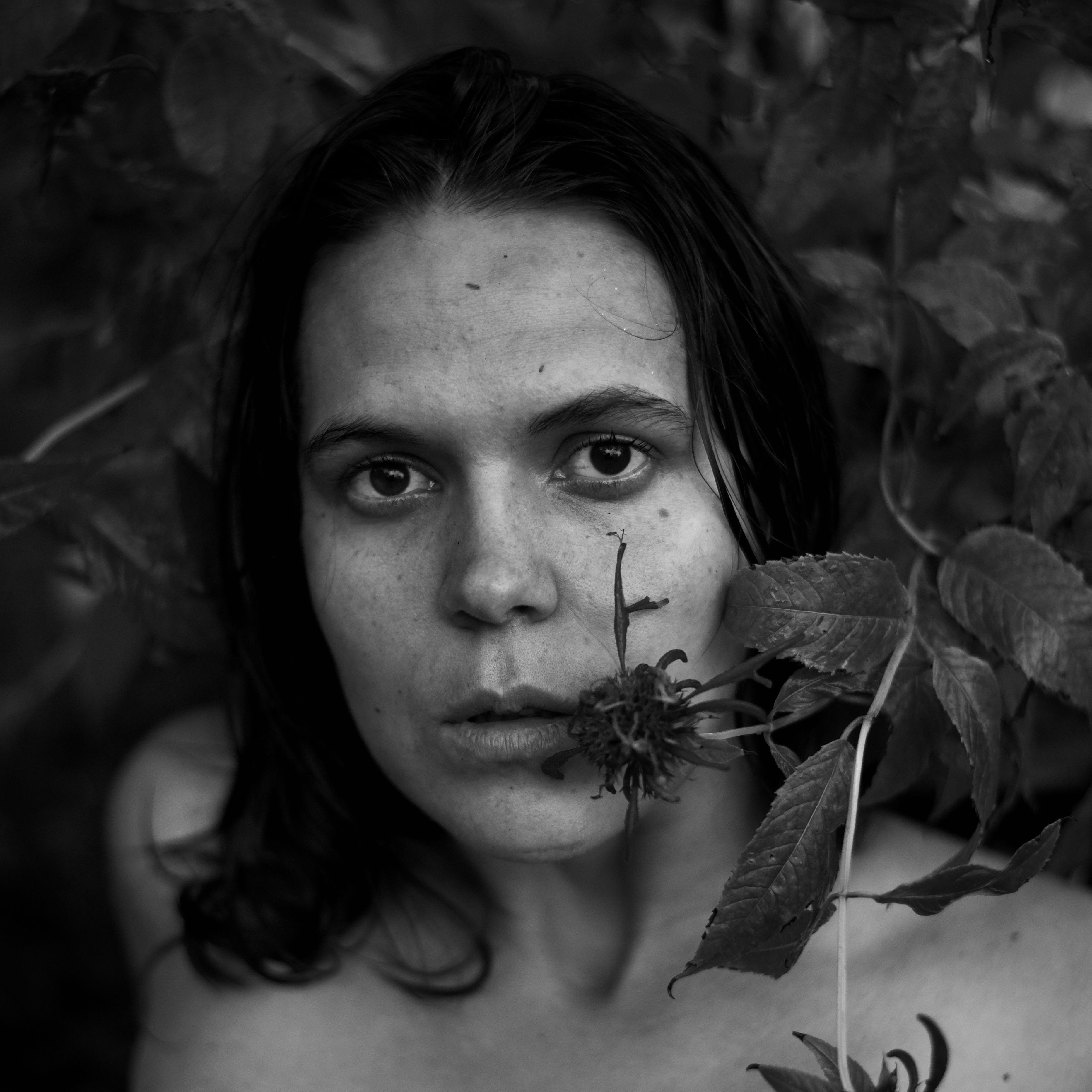 The Expansion Framework