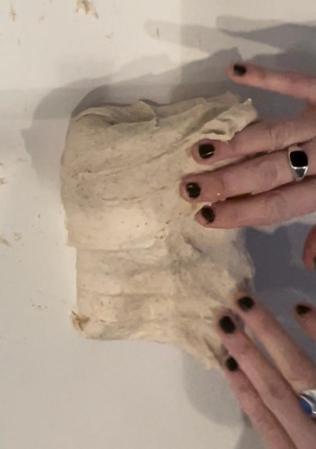 Gram sustainable, rye sourdough starter, rye flour, white bakers flour, baking for beginners, recipe