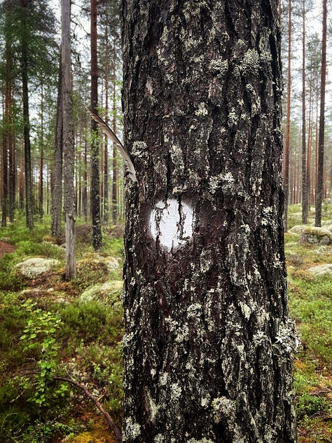 Seitsemisen kansallispuisto