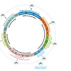 Το Ψηφιακό Δίδυμο