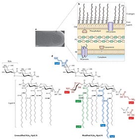 FDA detected Endotoxin by Mass Spectrometry