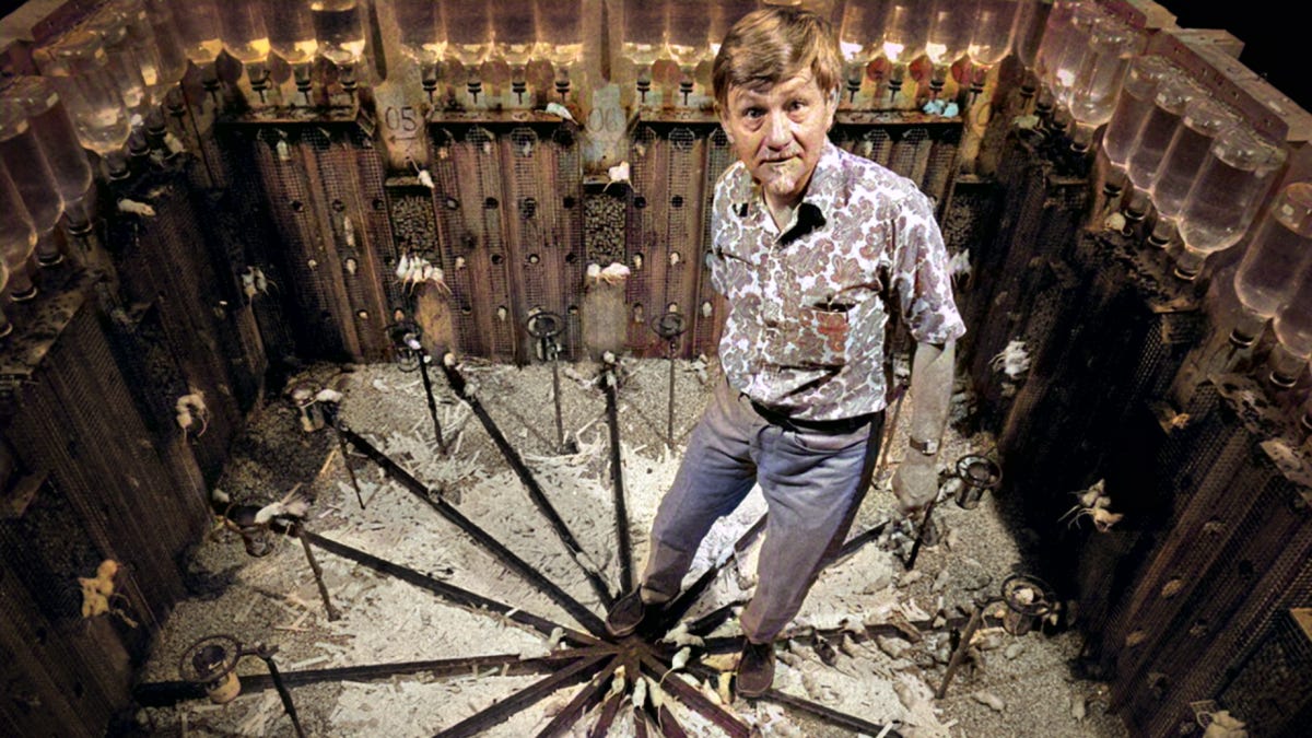 Universo 25, scopri l'incredibile esperimento sociale degli anni '70 |  Passione Astronomia