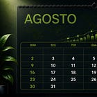 Carteiras sugeridas para agosto