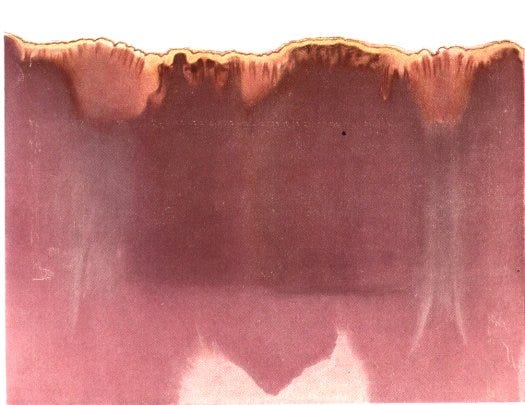 plate 1