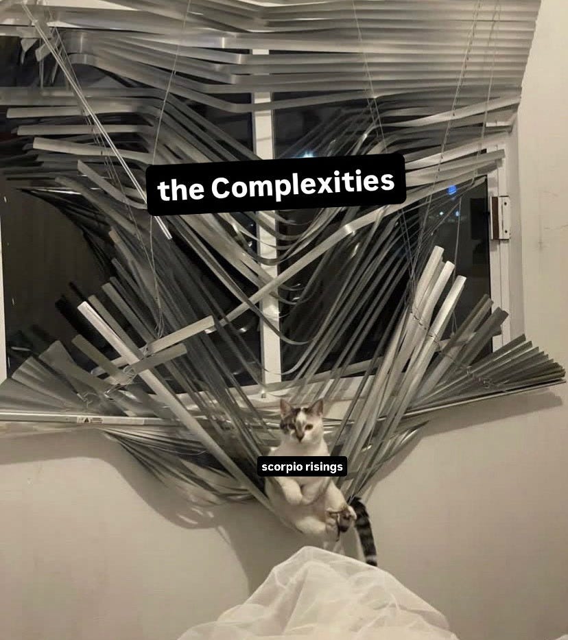 an adorable white cat sitting comfortably in the bottom of a tangled mess of mini blinds that still hang, mangled, from the window. the cat is labeled "scorpio risings" and the blinds are labeled "the Complexities".