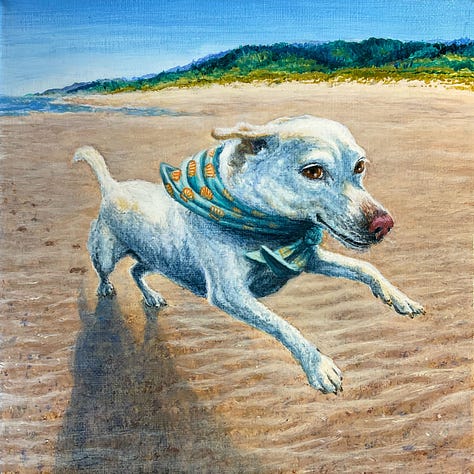 Zeke On The Beach, 1- Running, 2-Laughing, 3- Forever floating above the water.