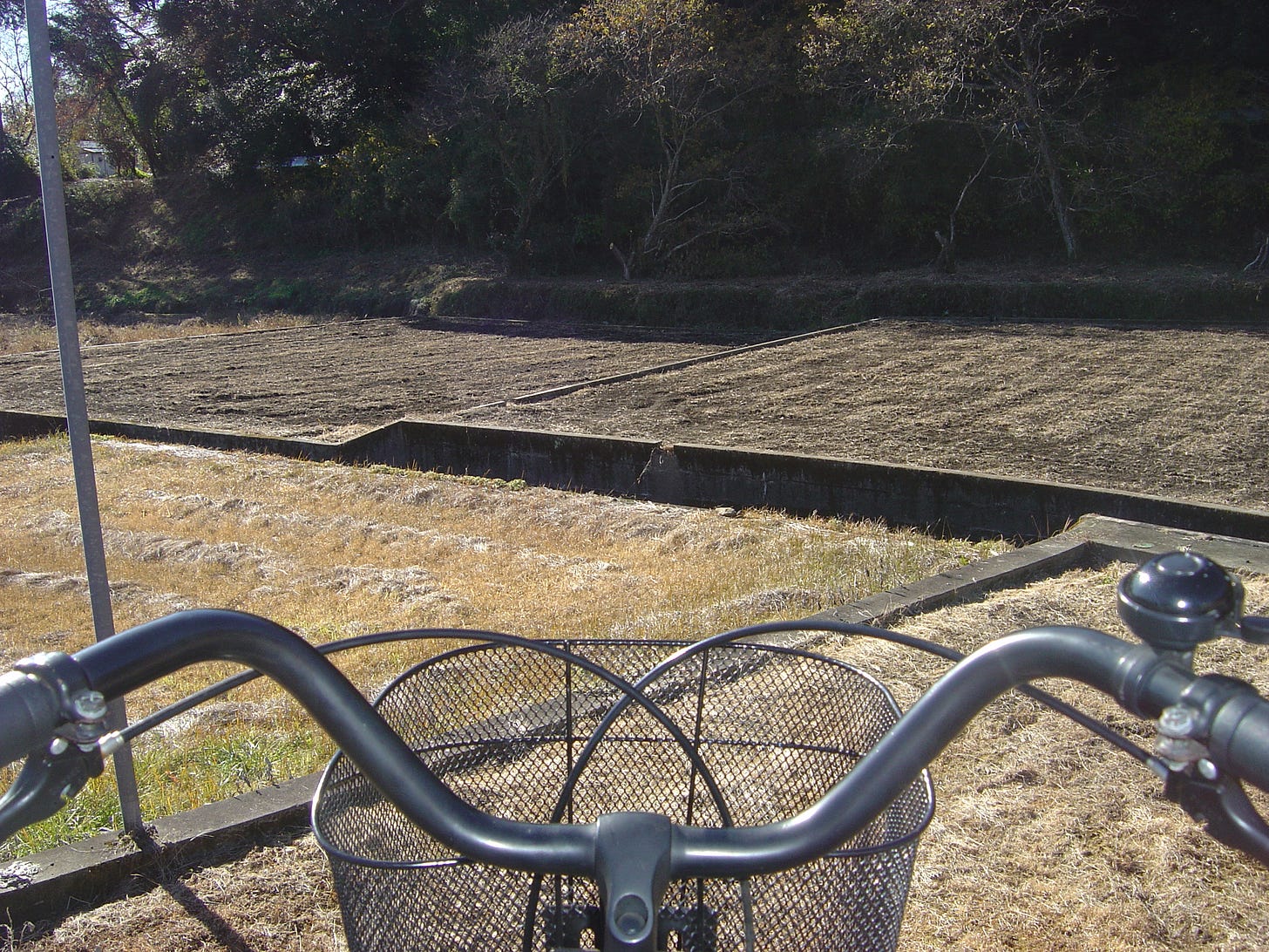 POV of Margot biking through padding fields