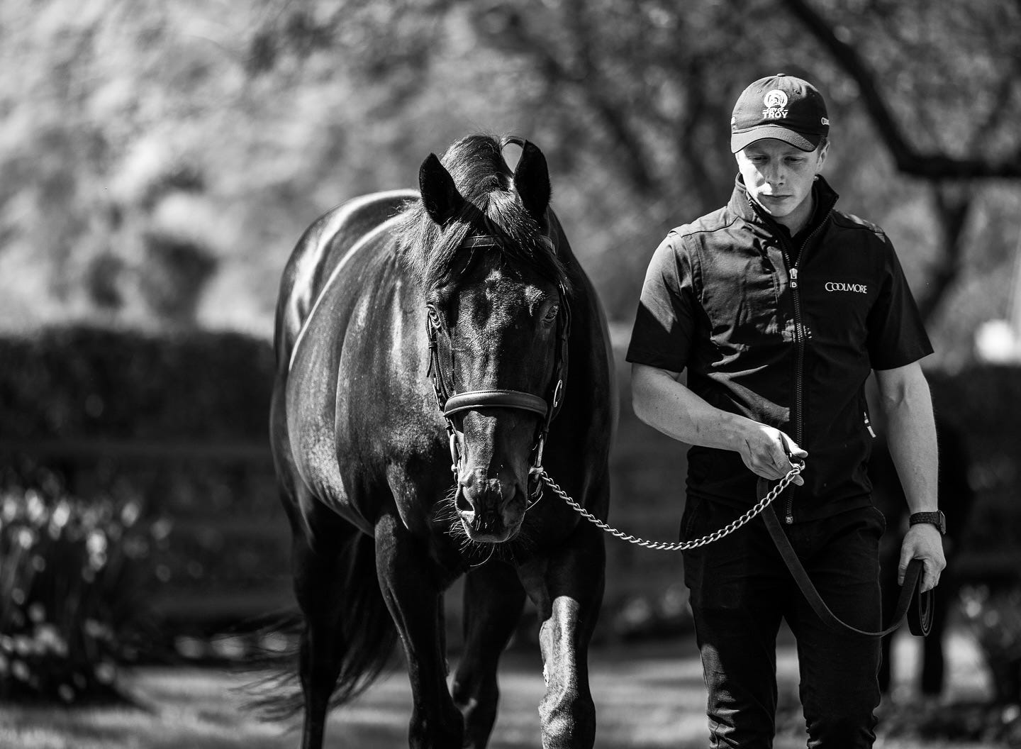 Lehet, hogy egy kép erről: 1 személy, ló és szöveg