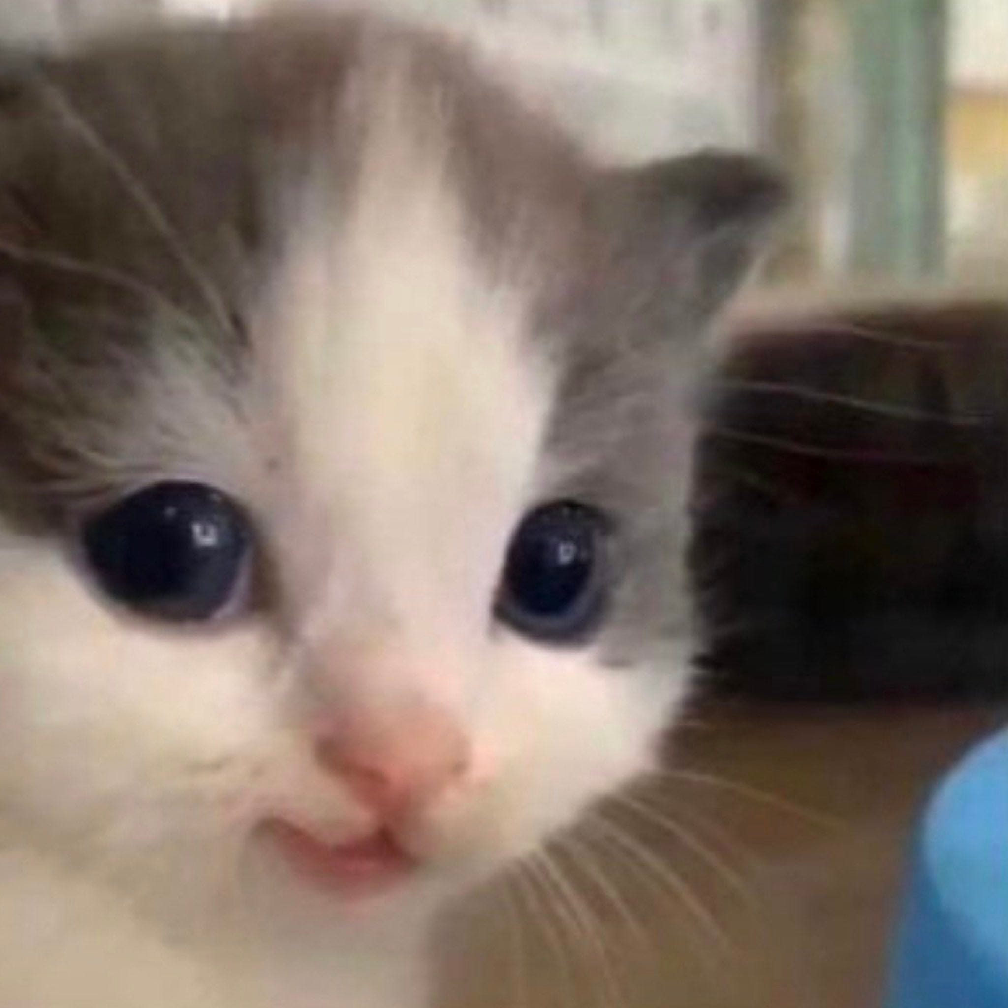 what took you so long