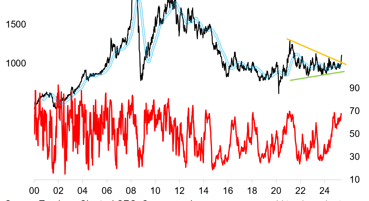 GoldNuggets — Going Platinum