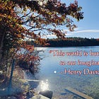 Through the Looking Glass: Nature's Restorative Mirror