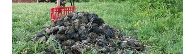 image 19.png image 19.png