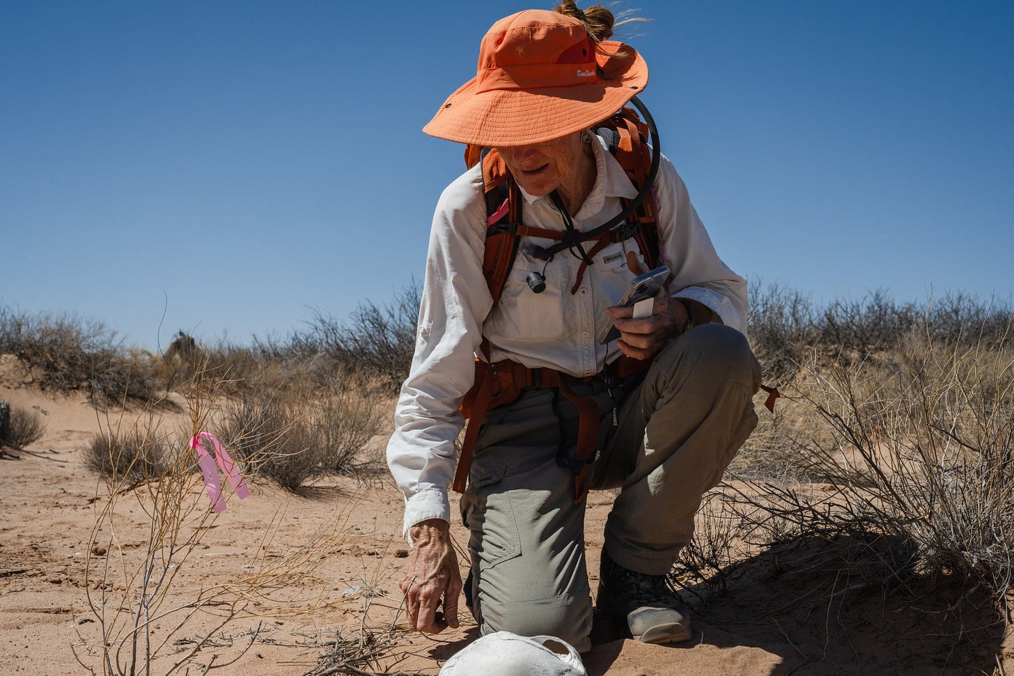 In this photo, Abbey Carpenter, a member of Battalion Search and Rescue, ties a ribbon to a plant, marking the location of a human skull in the desert outside of Santa Teresa, New Mexico on Jan. 25, 2025. In this photo, Abbey Carpenter, a member of Battalion Search and Rescue, ties a ribbon to a plant, marking the location of a human skull in the desert outside of Santa Teresa, New Mexico on Jan. 25, 2025.