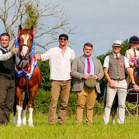 80th Saintfield Show enjoys glorious sunshine
