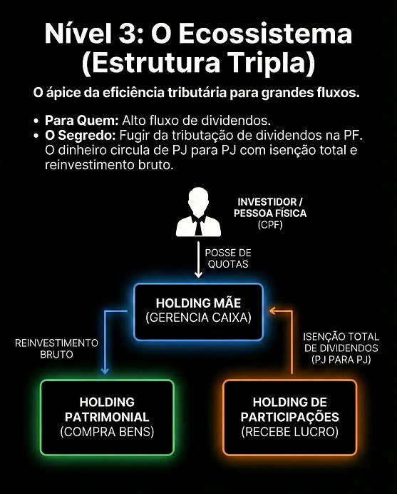 Holding Familiar: Proteção e Menos Impostos Https%3A%2F%2Fsubstack Post Media.s3.amazonaws.com%2Fpublic%2Fimages%2F3a1da0e2 2d78 422a B3e3 0a4e6b9afee2 557x692