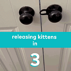 New Year's Adam. Tabs, Tues., Dec. 30, 2025