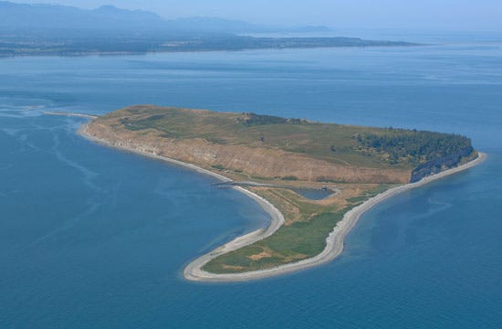 Protection Island | Encyclopedia of Puget Sound Protection Island | Encyclopedia of Puget Sound