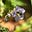 Plants in Plain Language's avatar