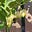 Jay Tee's avatar