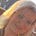 Heather Lowrie's avatar