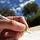 Writing Sangha