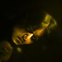 Vanshika's avatar