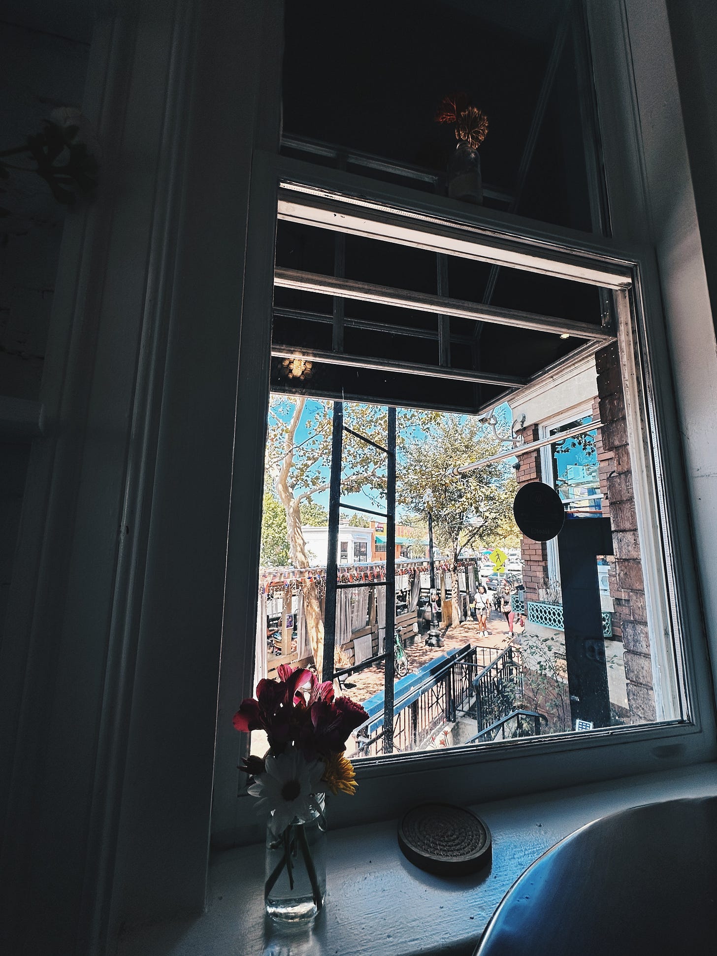View from a bay window at Purple Patch restaurant in Mount Pleasant, Washington DC, overlooking a quiet neighborhood street View from a bay window at Purple Patch restaurant in Mount Pleasant, Washington DC, overlooking a quiet neighborhood street
