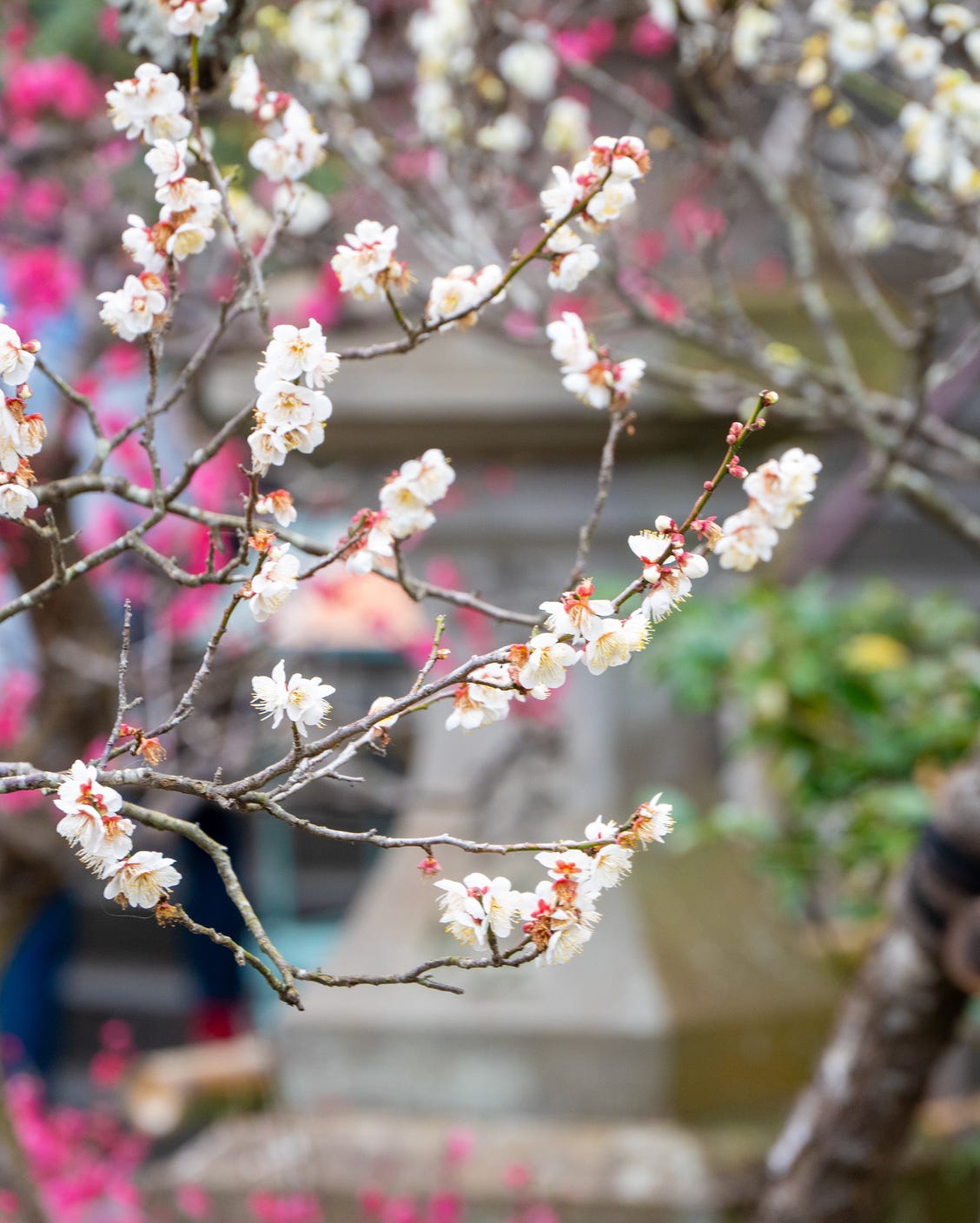 An example of shallow depth of field.