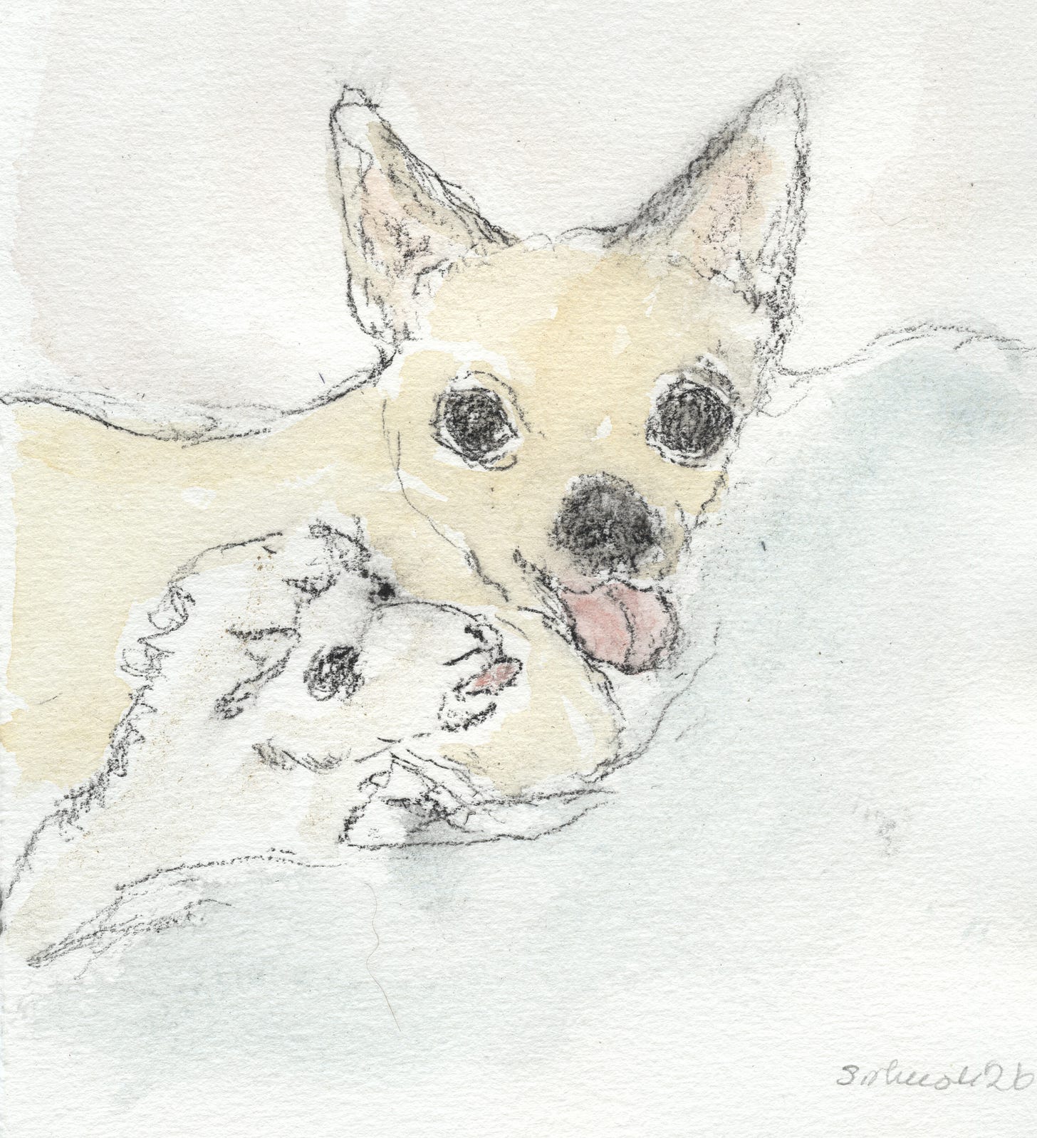 Mr. Chubbs and Lambchop painting by Sarah Hauser