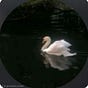 بـجـعــــــــــــة's avatar