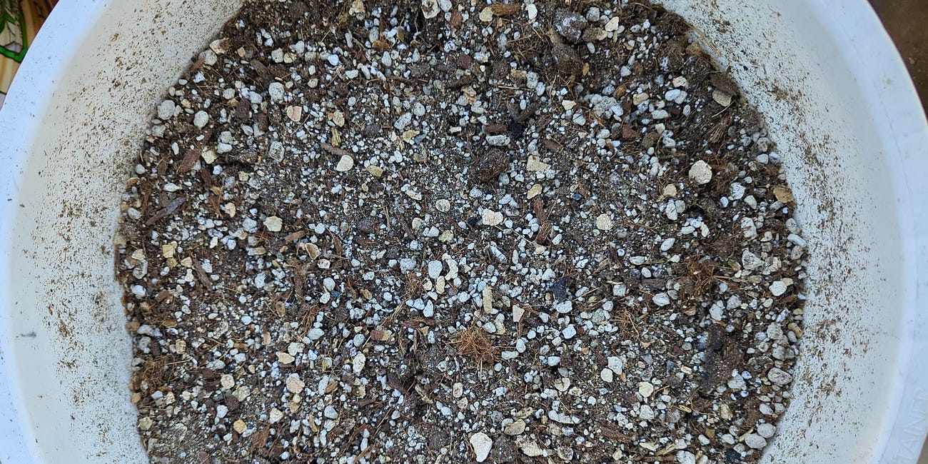 My Favorite Potting Mix Combo